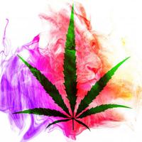 Reggae Smokin Chill 420's avatar cover