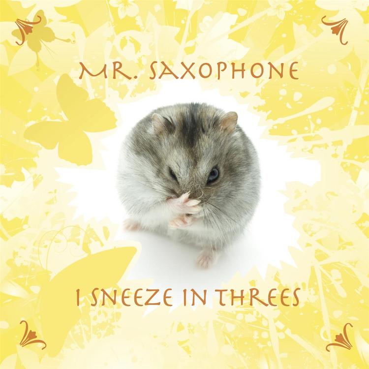 Mr. Saxophone's avatar image