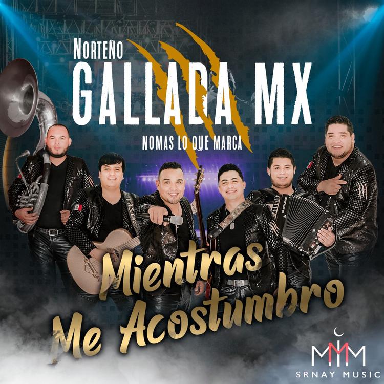 Gallada Mx's avatar image