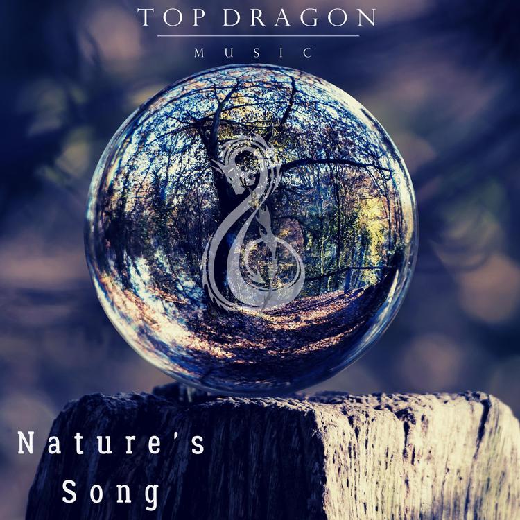 TopDragon Music's avatar image