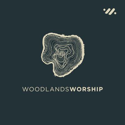 Do It Again By Woodlands Worship's cover