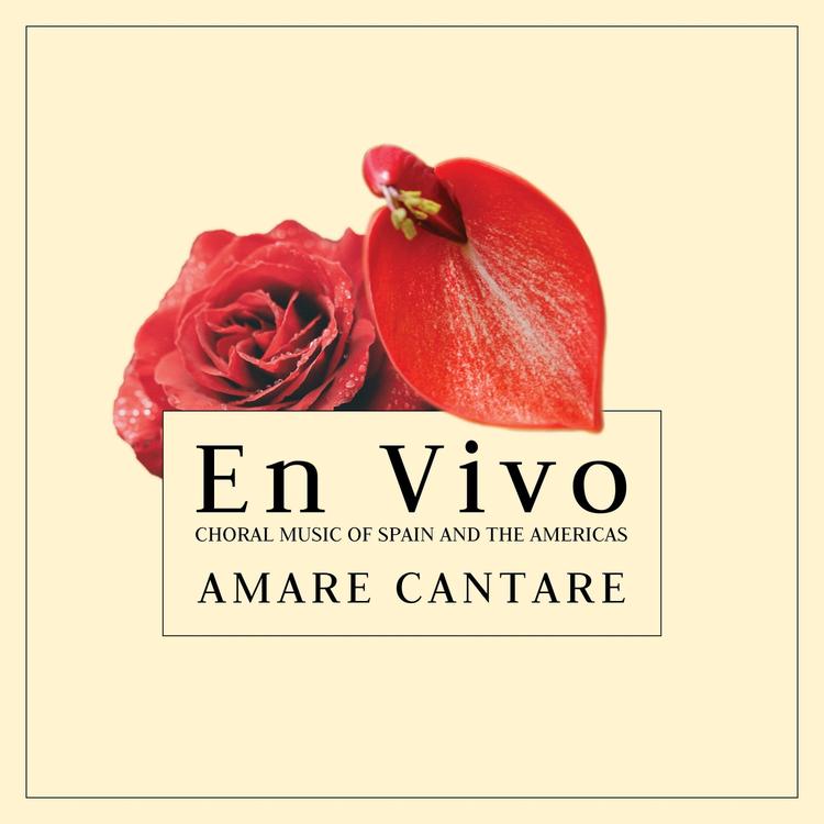 Amare Cantare's avatar image