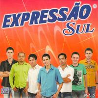 Expressão Sul's avatar cover