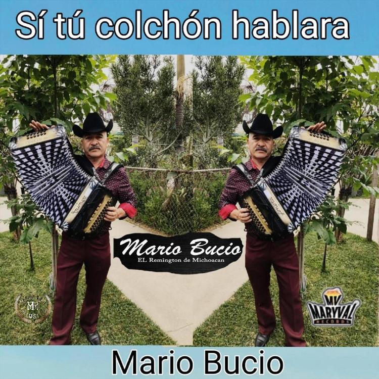 Mario Bucio el Remington de Michoacan's avatar image