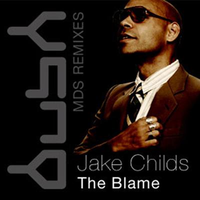 The Blame (Tim Meyer Remix)'s cover