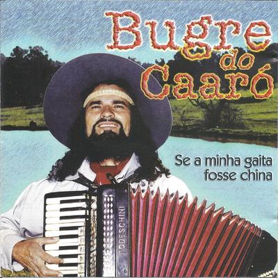 Muié Estúpida By Bugre do Caaró's cover