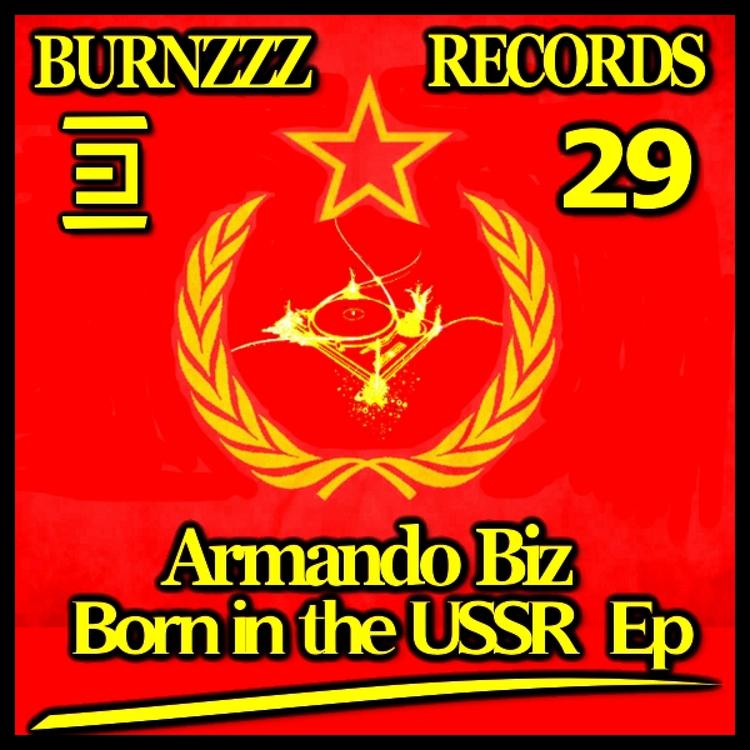 Armando Biz's avatar image