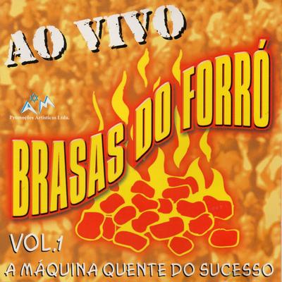 Todo o Tempo É Pouco para Te Amar (Ao Vivo) By Brasas Do Forró's cover
