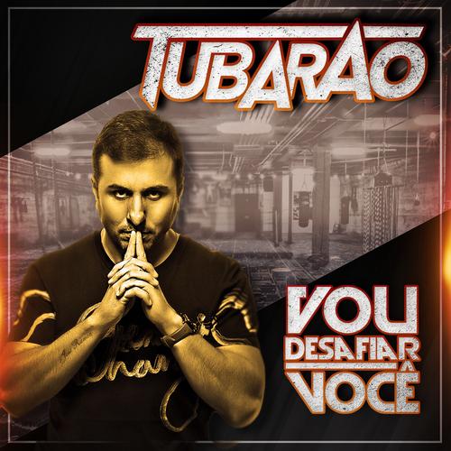 Vou Desafiar Você's cover