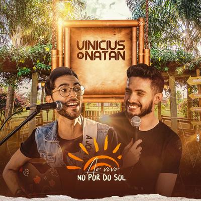 Por Te Amar Demais (Ao Vivo) By Vinicius & Natan's cover