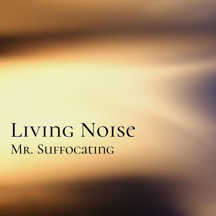 Living Noise's avatar image