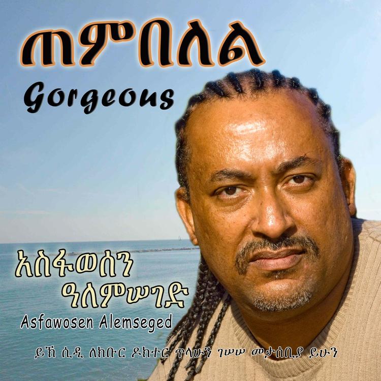Asfawosen Alemseged's avatar image