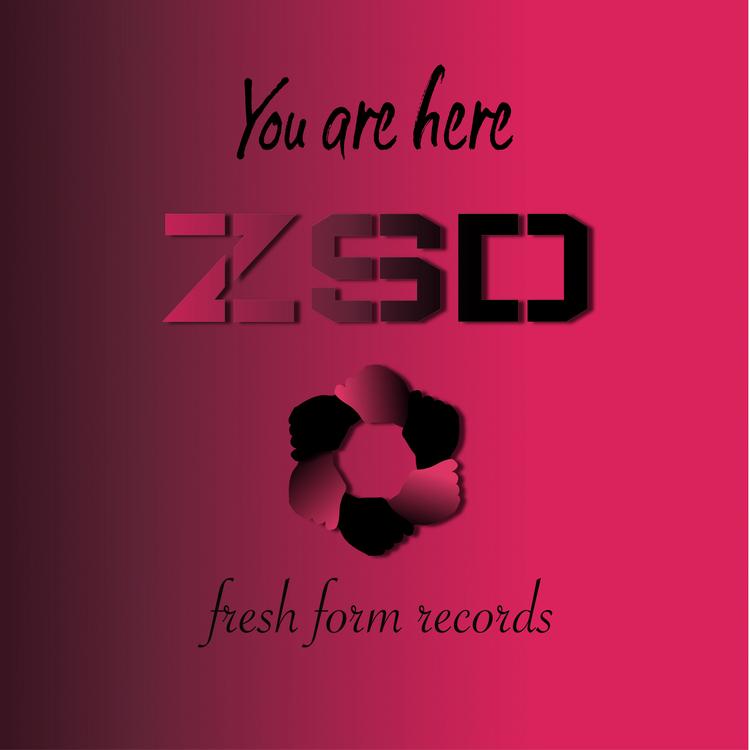 ZSD's avatar image