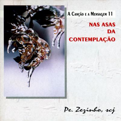 Te Deum By Pe. Zezinho, SCJ's cover