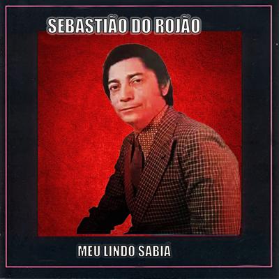 Visinha Faladeira's cover