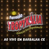 Forrozão Tropikalia's avatar cover