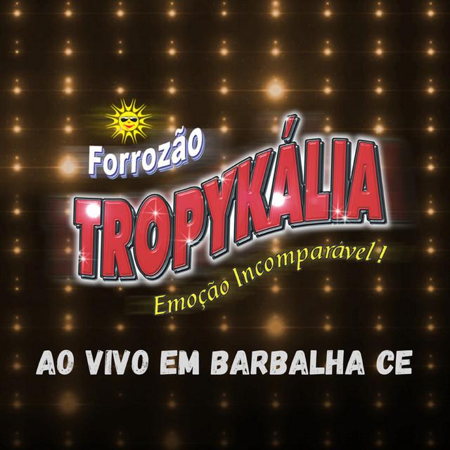 Forrozão Tropikalia's avatar image