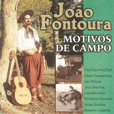 Quando a Alma Volta pra Terra By Luiz Marenco, João Fontoura's cover