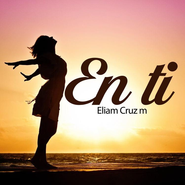 Eliam Cruz M's avatar image