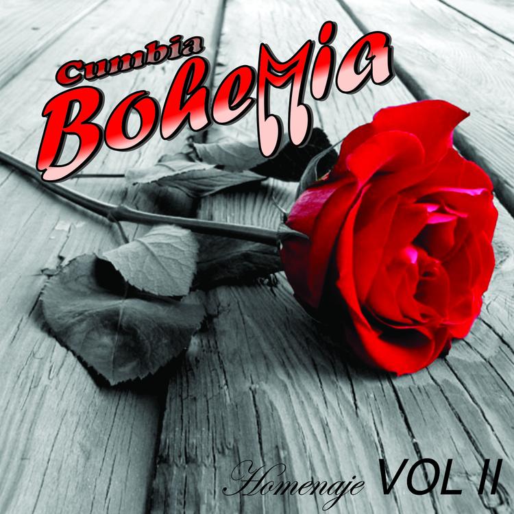 Cumbia Bohemia's avatar image