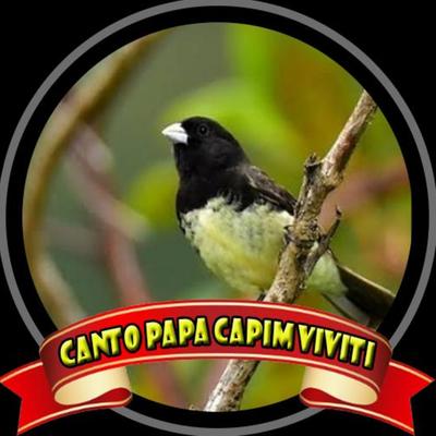 Canto Papa Capim Viviti 's cover