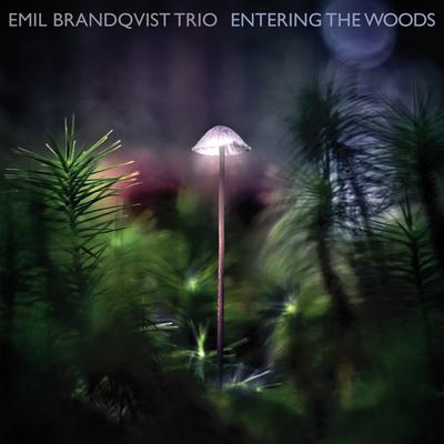 Raindrops By Emil Brandqvist Trio's cover