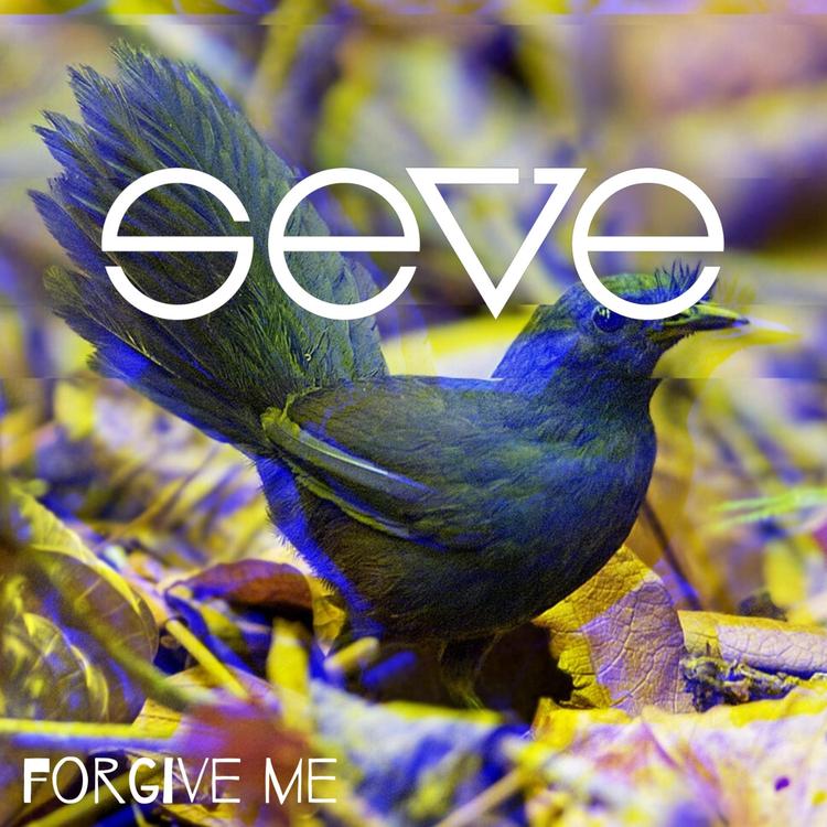Seve's avatar image