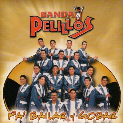 Pa Bailar y Gozar's cover