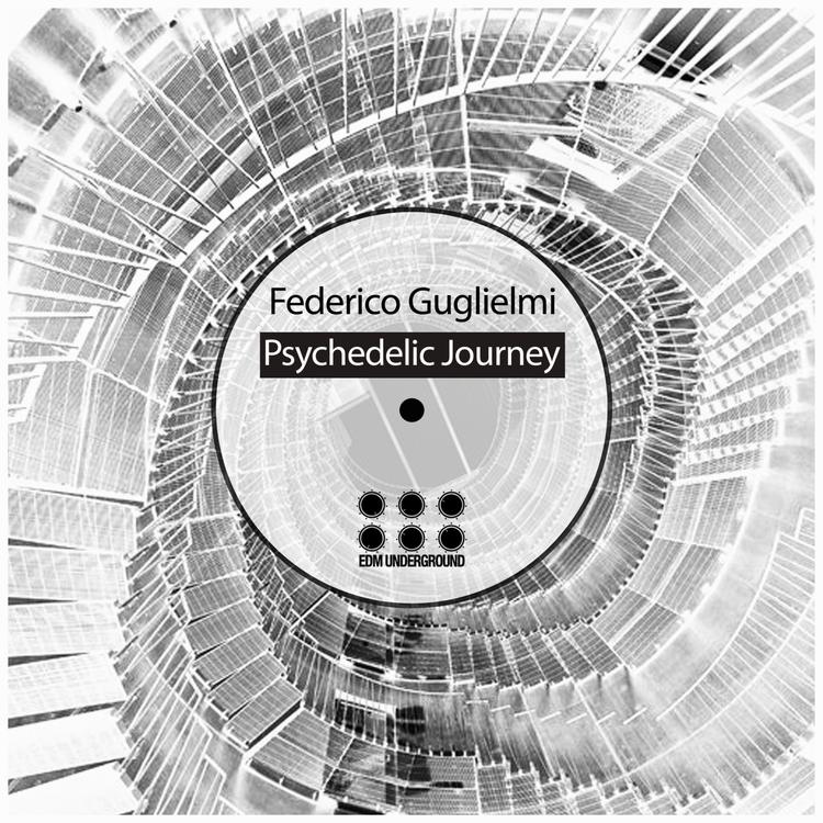 Federico Guglielmi's avatar image