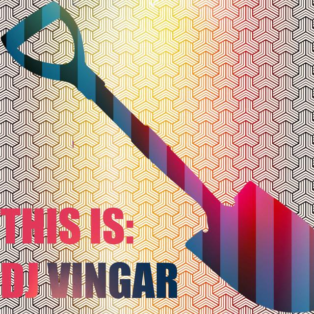 DJ Vingar's avatar image