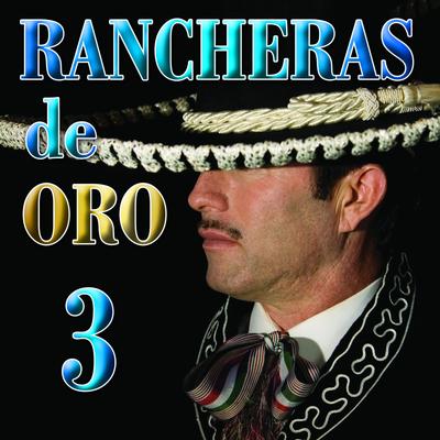 Pequeño motel|ranchera's cover