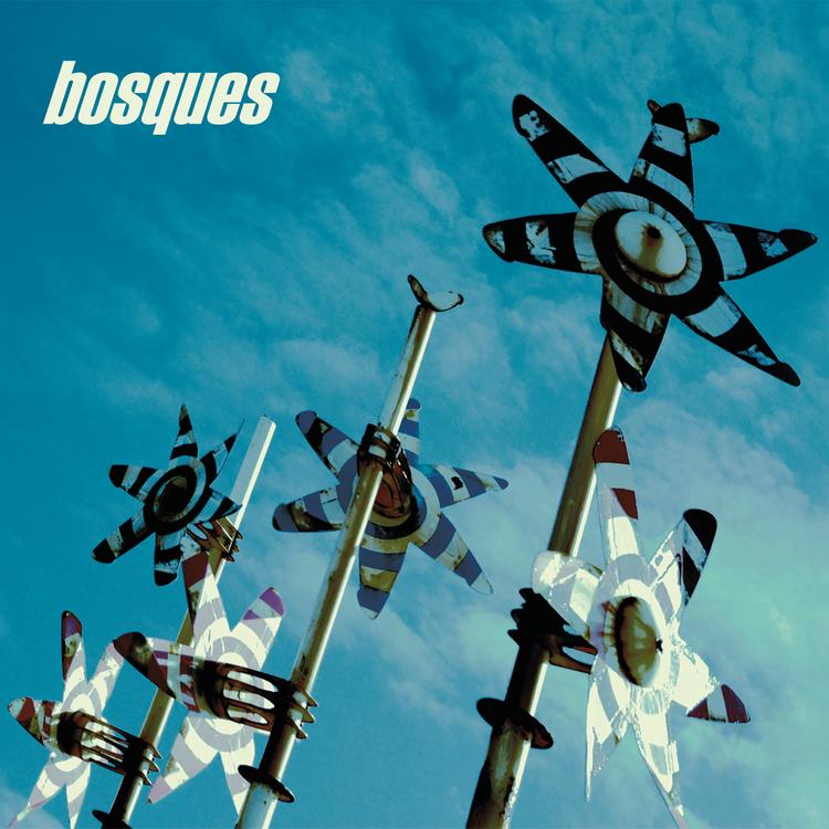 Bosques's avatar image