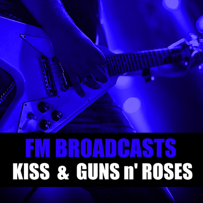November Rain (Live) By Guns N' Roses's cover