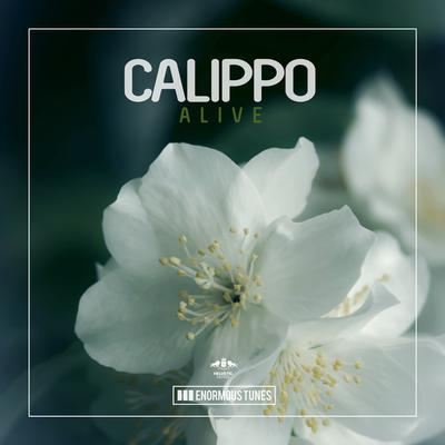 Alive By Calippo's cover