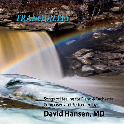 David Hansen, MD's cover