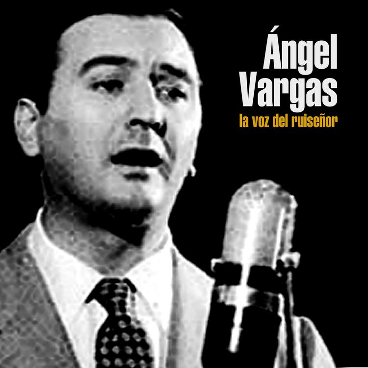 Ángel Vargas's avatar image