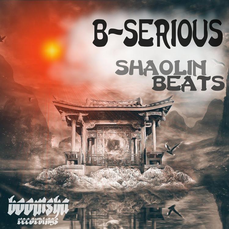 B-Serious's avatar image