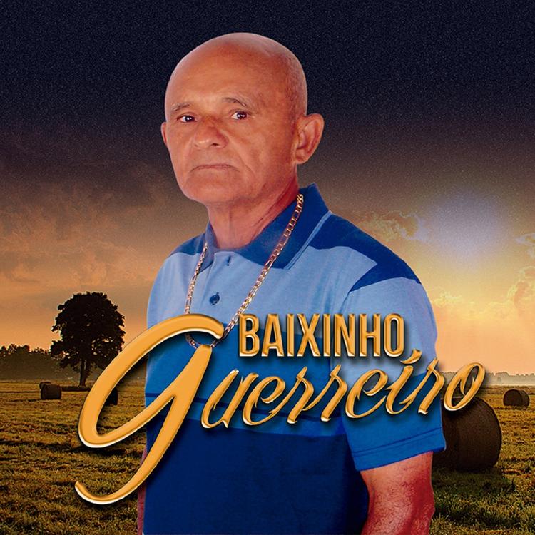 Baixinho Guerreiro's avatar image