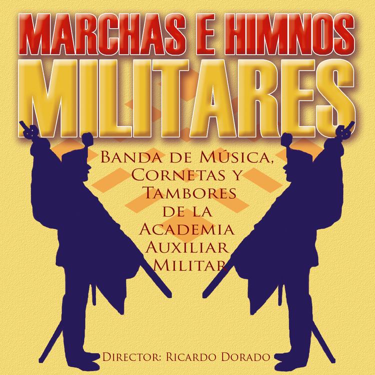 Banda de Música Cornetas y Tambores de la Academia Auxiliar Militar's avatar image