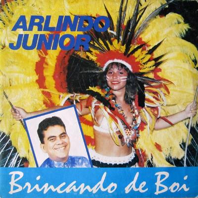 Caprichoso Formoso By Arlindo Junior's cover