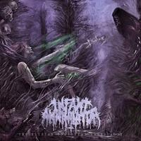 Infant Annihilator's avatar cover