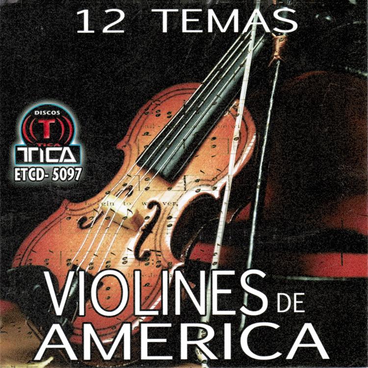 Violines de America's avatar image