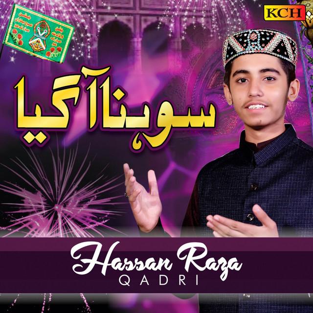 Hassan Raza Qadri's avatar image