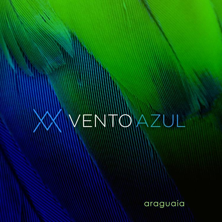 Vento Azul's avatar image