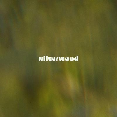silverwood By Billy Hammer's cover