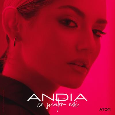 Ce Suntem Noi By Andia's cover