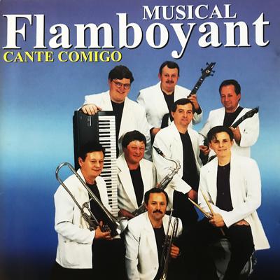 Dobrado Cinco Irmãos By Musical Flamboyant's cover