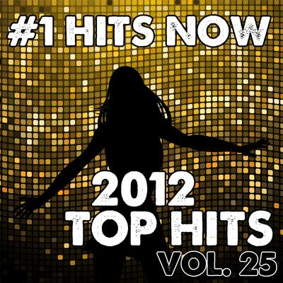 2012 Top Hits, Vol. 25's cover