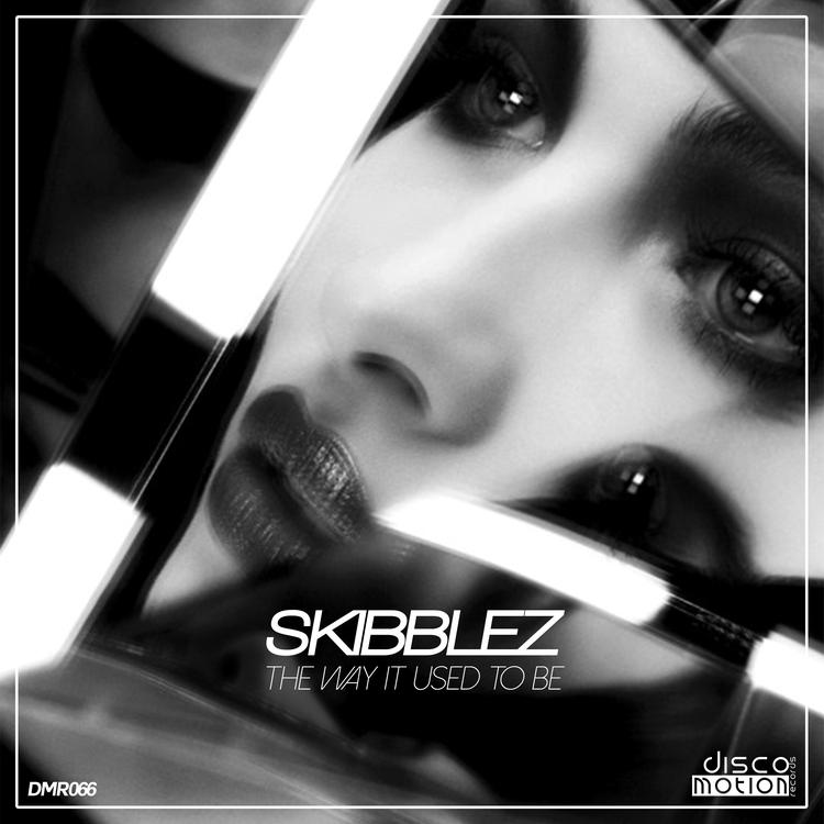 Skibblez's avatar image