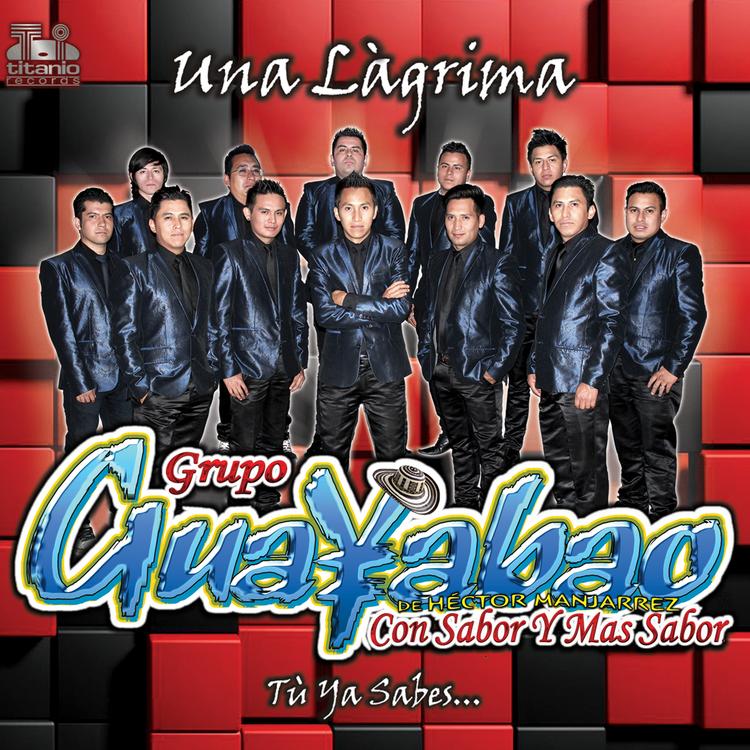 Grupo Guayabao de Héctor Manjarrez's avatar image